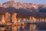 Tufa in Mono Lake