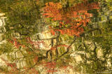 Reflections in Buffalo River