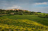 Hilltop Pienza