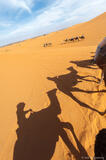 Camel Ride in Morocco
