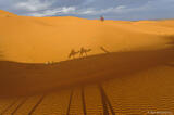 Camel Ride Shadows