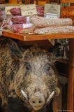 Cinghiale Avoiding Capture