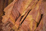 Folds of Sandstone