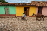 Biker with Horse