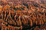 Bryce Canyon Hoodoos