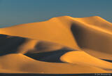 Late Afternoon in Dunes