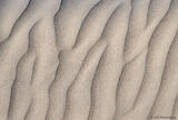 Lines in the Sand
