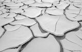 Dried Mud Plates