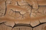 Mud and Raindrop Patterns #3