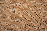 Rain Drop Pstterns on Dried Mud #2