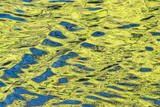 Yellow and Blue Reflections
