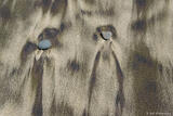 Mineral Streaks In Sand