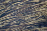 Sand Patterns #1