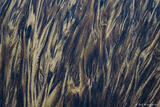 Sand Patterns #6