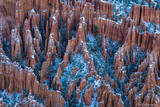 Hoodoos and Snow