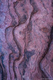 Sandstone Face