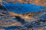 River Reflections in Zion