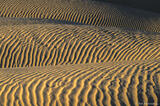 Corrugated Dunes