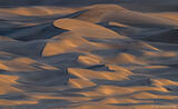 Early Morning Light on Dunes