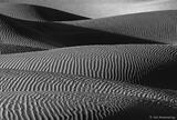 Zebra Dunes