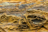 Tafoni in Sandstone #2