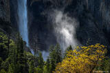 Waterfall and Mist