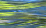 River In Motion