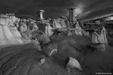 Petrified Log and Hoodoos Monochrome