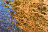 Reflections and Stones
