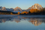 Oxbow Bend Geese
