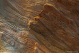 Sandstone Reaching Up