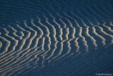 Light Skimming Sand Dune