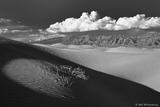 Mesquite Dunes
