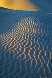 Afternoon Light Across Dunes