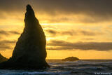 Sea Stack and Birds