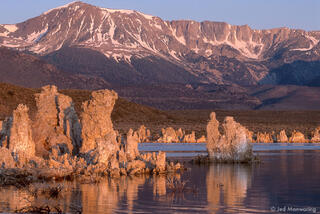 Tufa in Mono Lake