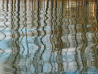 Tree Reflections in Lake
