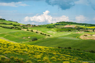Fields Below Pienza