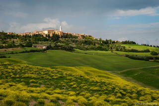 Hilltop Pienza