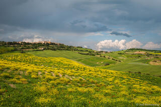 Pienza Hillside