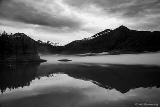 Mist In The Morning