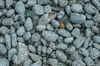 Granite Beach Stones