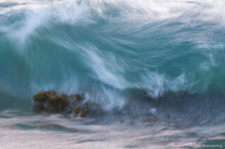 Crashing Waves and Sea Palms