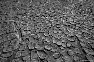 Hard Pans Patterns in B&W
