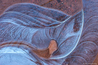 Ice Patterns