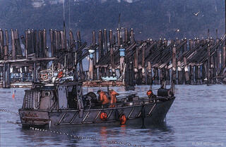Fishing for Herring