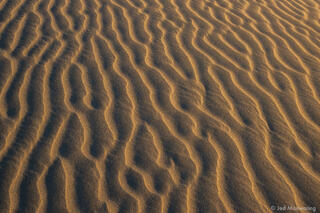 Lowlight Across Sand