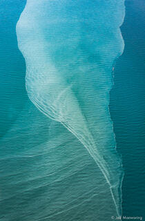 Cook Inlet Tidal Patterns