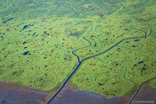 River Meanders