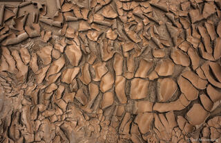 Curling Dried Mud